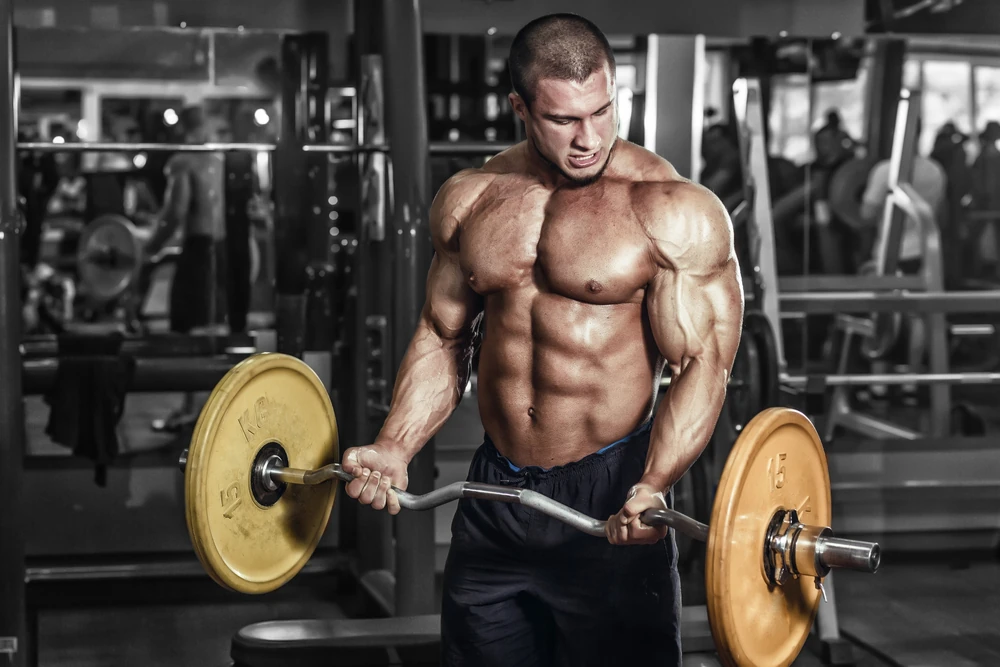Athlete Muscular Bodybuilder In The Gym Training Biceps With Bar